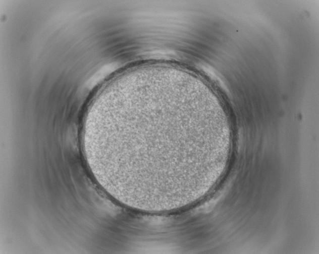 X0000089420970200707061315