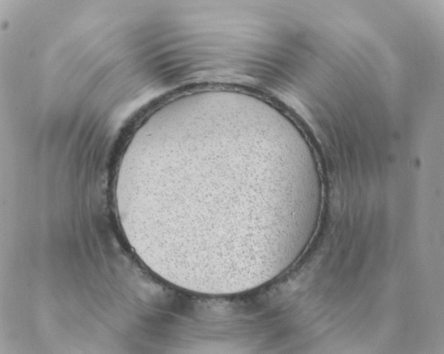 X0000089420971200707061315