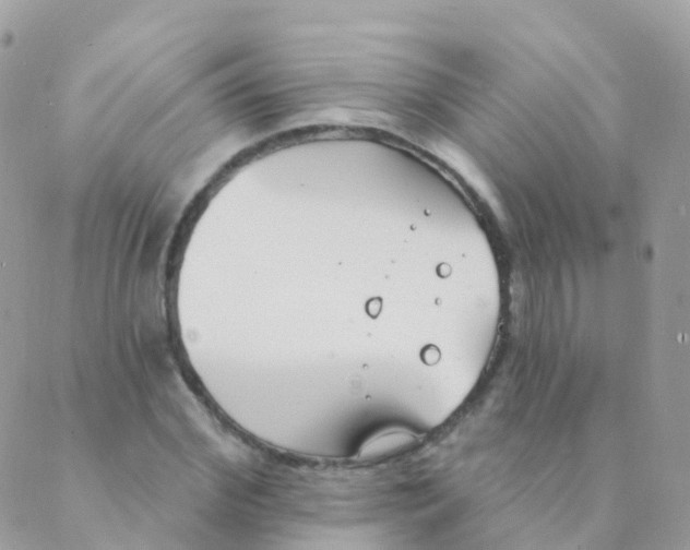 X0000089420972200707061315