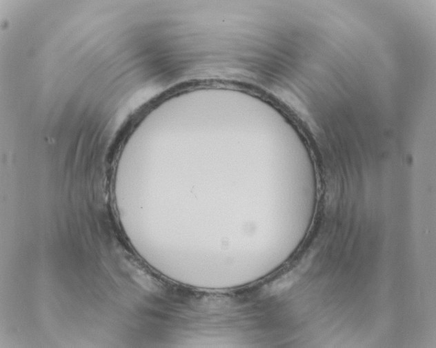 X0000089420974200707061314