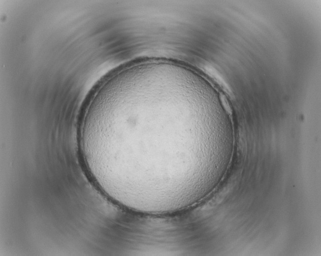 X0000089420976200707061314