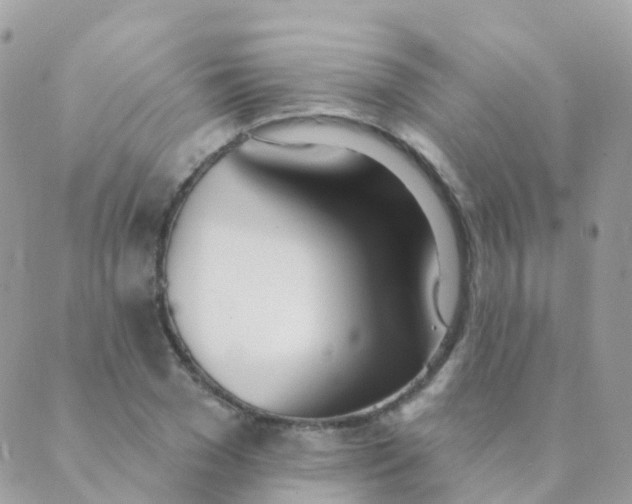 X0000089420977200707061314