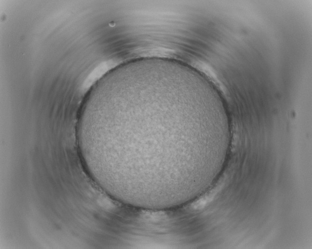 X0000089420978200707061314