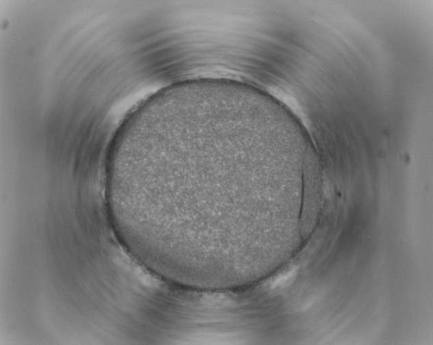 X0000089420979200707061314