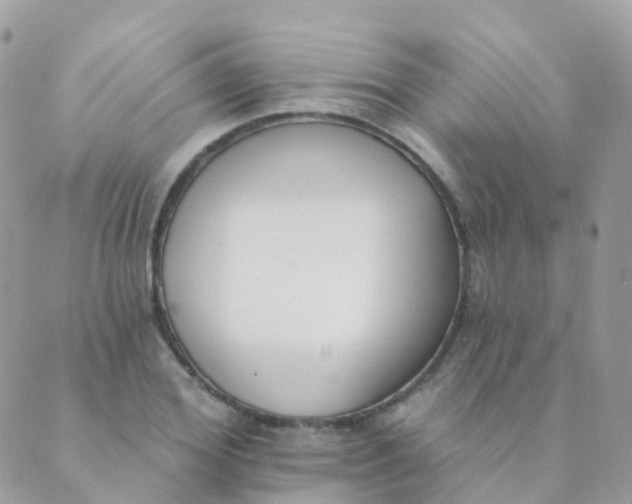 X0000089420980200707061314