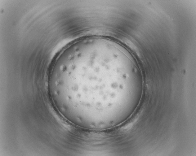 X0000089420981200707061314