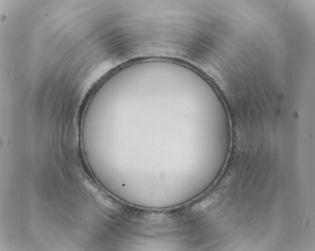 X0000089420982200707061314