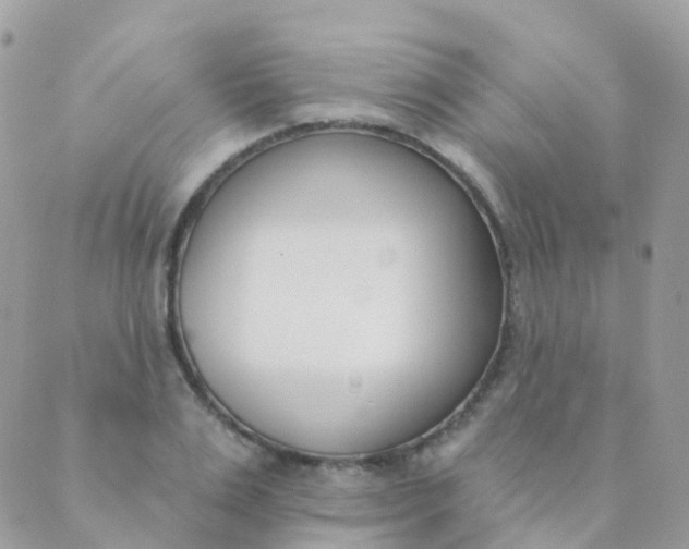 X0000089420983200707061314