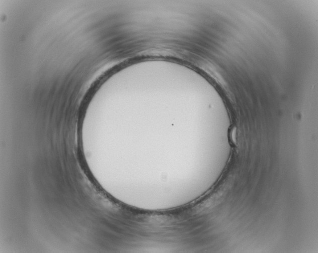 X0000089420984200707061314