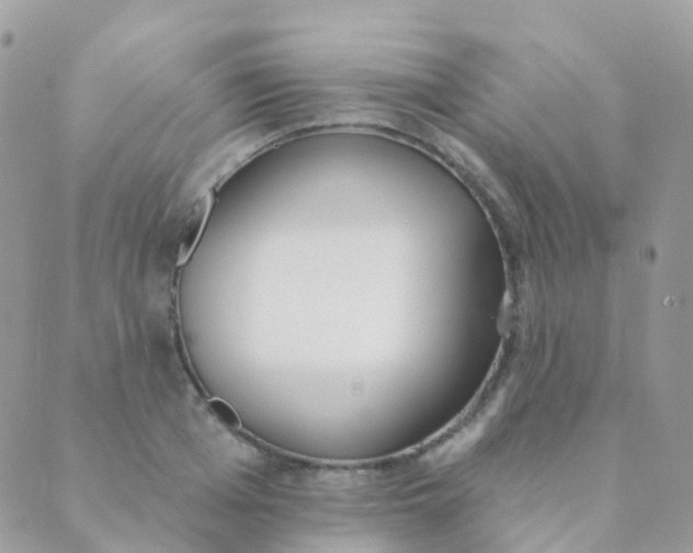 X0000089420985200707061314