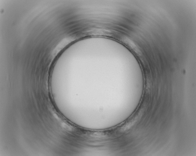 X0000089420986200707061314