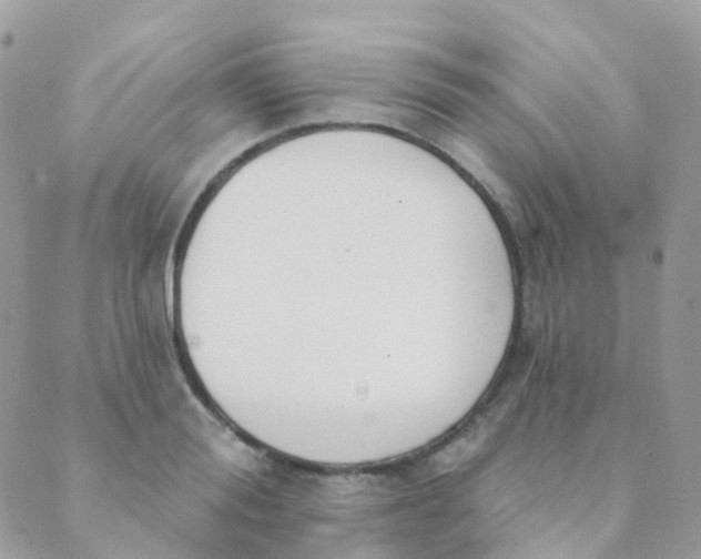 X0000089420988200707061314