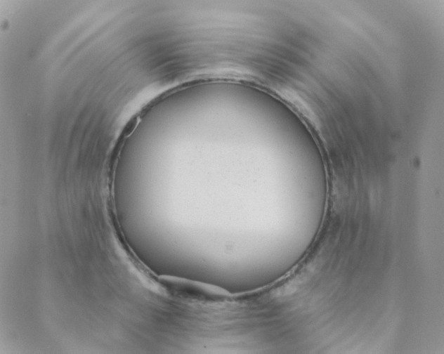 X0000089420989200707061314