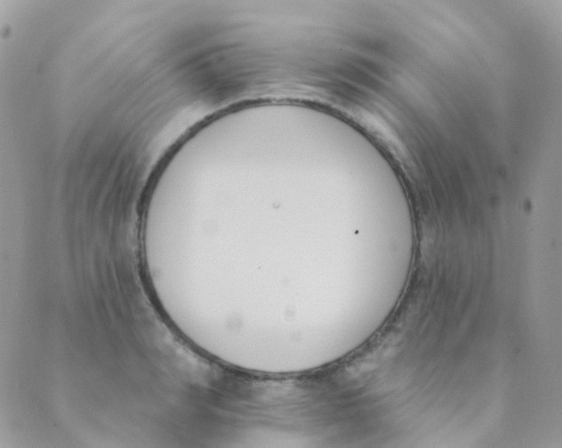 X0000089420990200707061314