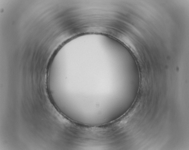 X0000089420992200707061314