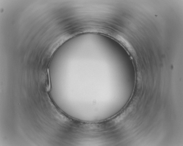 X0000089420993200707061314