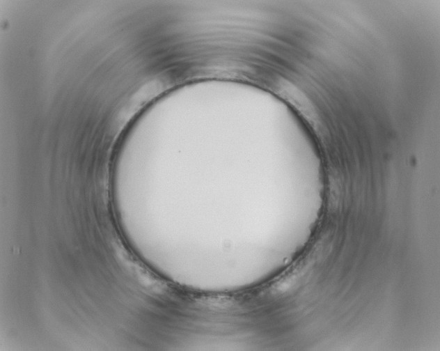 X0000089420994200707061314