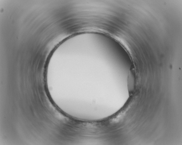 X0000089420995200707061314