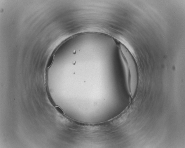 X0000089420996200707061314