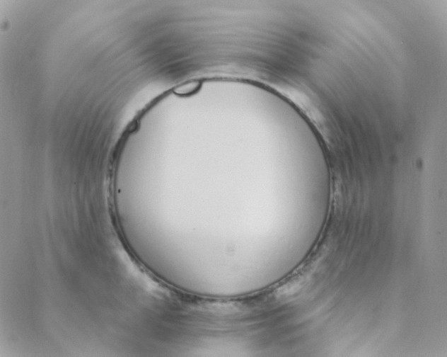 X0000089420998200707061314