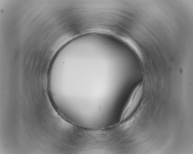 X0000089420999200707061314