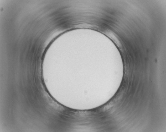 X0000089421000200707061314