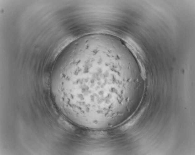 X0000089421001200707061314