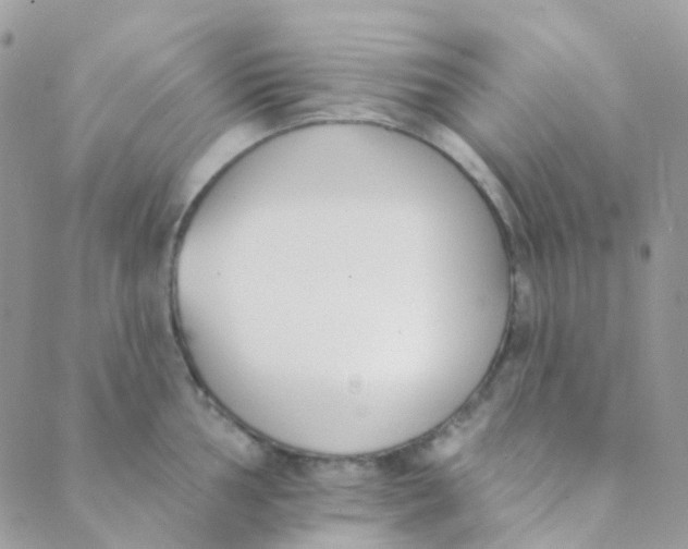 X0000089421002200707061314