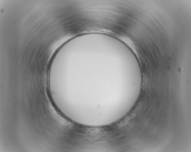 X0000089421003200707061314