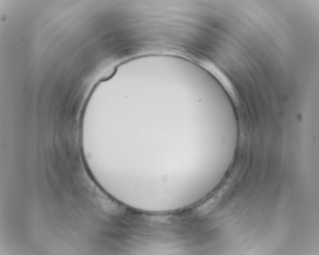 X0000089421004200707061314