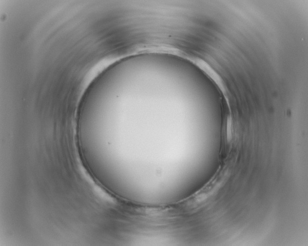 X0000089421005200707061314