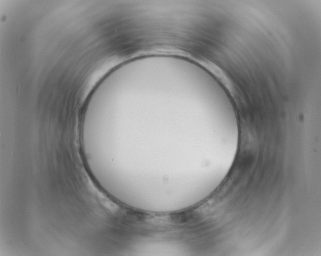 X0000089421006200707061314