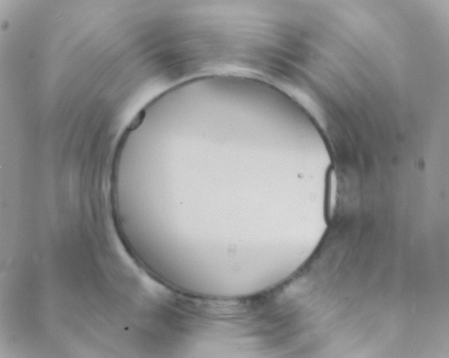 X0000089421007200707061314