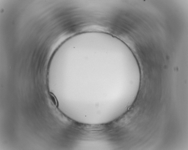 X0000089421008200707061314