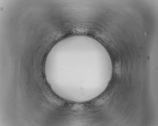 X0000089421009200707061313