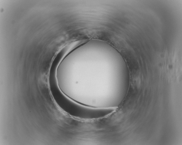 X0000089421010200707061313