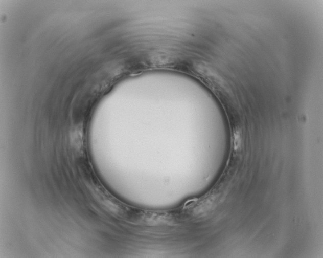 X0000089421011200707061313