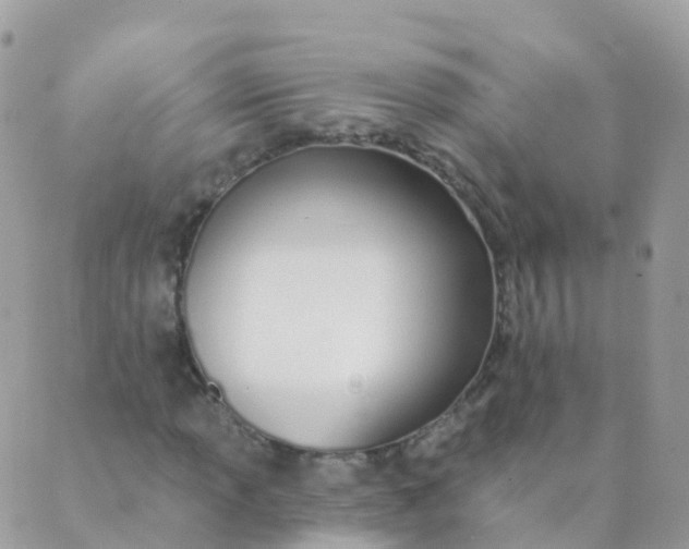 X0000089421013200707061313