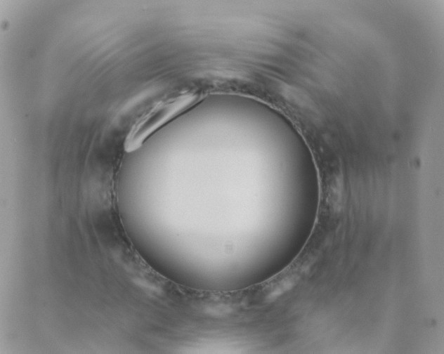 X0000089421014200707061313