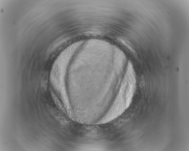 X0000089421015200707061313