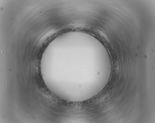 X0000089421016200707061313