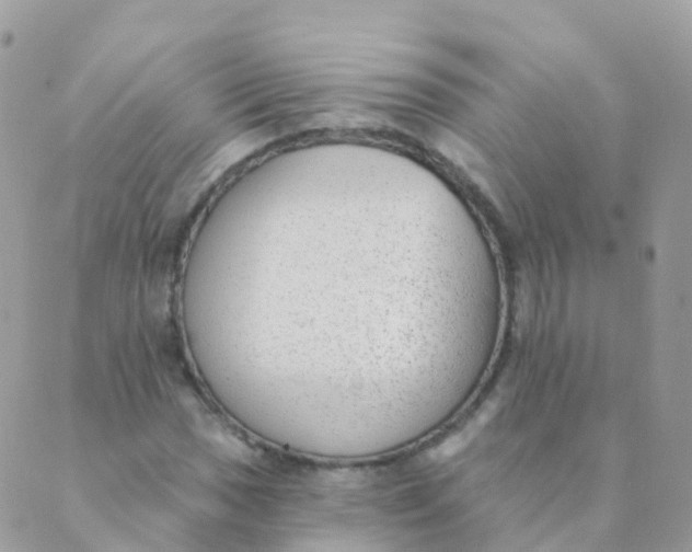 X0000089421017200707061313