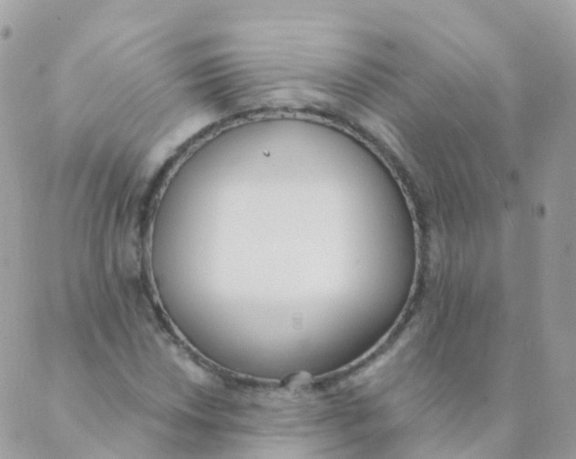 X0000089421018200707061313