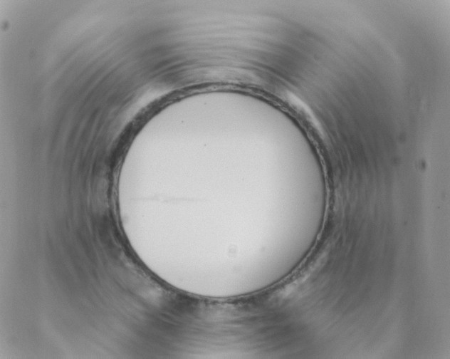 X0000089421019200707061313