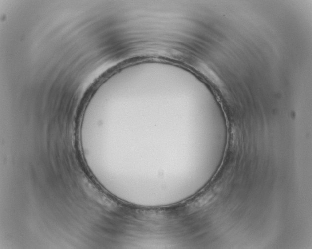 X0000089421020200707061313