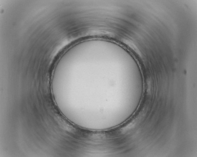 X0000089421021200707061313