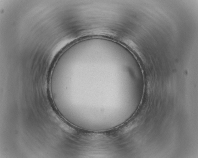 X0000089421024200707061313