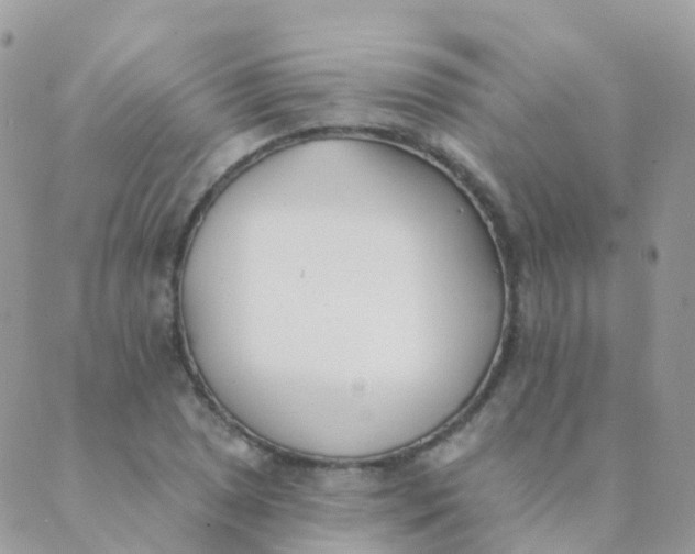 X0000089421025200707061313