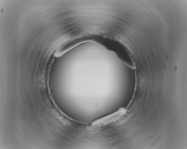 X0000089421026200707061313