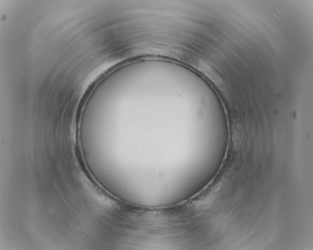 X0000089421028200707061313